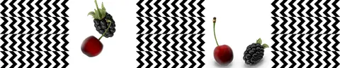 ABS-0054 PK1529