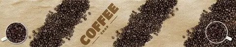 CFT-0149 pk619