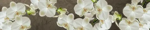 FLO-0017 PK0129min