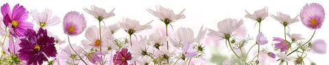 FLO-0033 PK1203