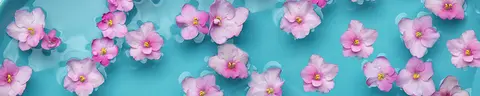 FLO-0037 PK1215