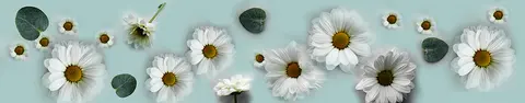 FLO-0040 PK1217