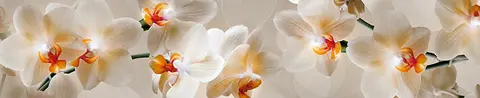 FLO-0045 PK1245