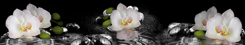 FLO-0697 pk1266