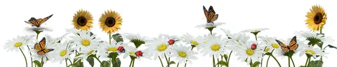 FLO-0067 PK1292