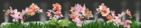 FLO-0071 PK1294