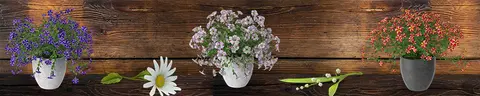 FLO-0087 PK1338