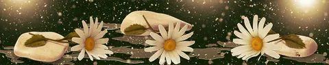 FLO-0088 PK1407