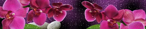FLO-0093 PK1416
