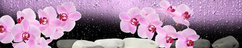 FLO-0094 PK1417
