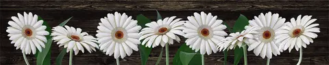 FLO-0096 PK1419