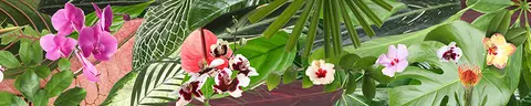FLO-0106 PK1432