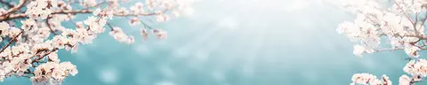 FLO-0126 PK1456