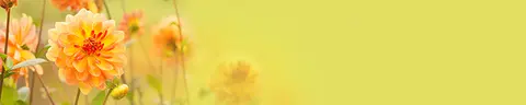 FLO-0134 PK1464