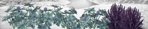 FLO-0139 PK1484