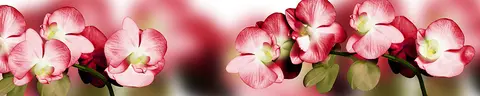 FLO-0149 PK1602