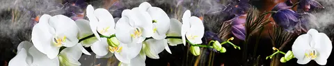 FLO-0152 PK1605