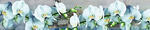 FLO-0154 PK1607