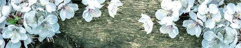 FLO-0180 PK1783