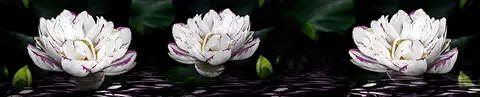 FLO-0189 PK1793