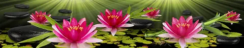 FLO-0217 PK2070