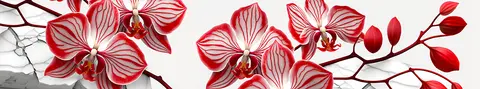 FLO-0221 PK2121