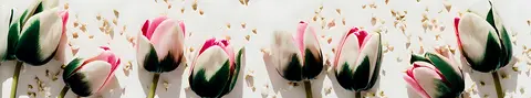 FLO-0234 PK2150