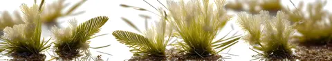 FLO-0238 PK2160