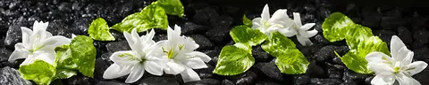 FLO-0240 PK2167