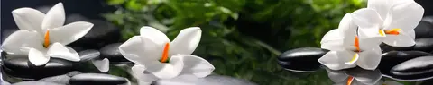 FLO-0249 PK2190
