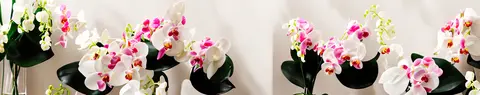 FLO-0254 PK2211