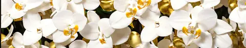 FLO-0265 PK2225