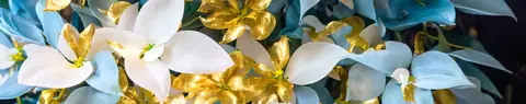 FLO-0266 PK2228