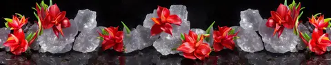 FLO-0270 PK2239