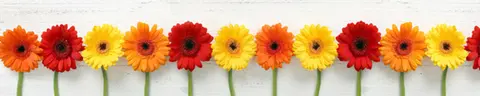FLO-0273 PK317