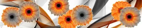 FLO-0289 PK435