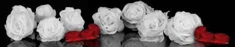 FLO-0294 PK477