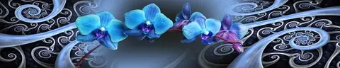 FLO-0296 PK481