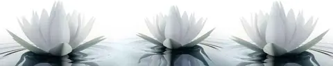 FLO-0302 PK493