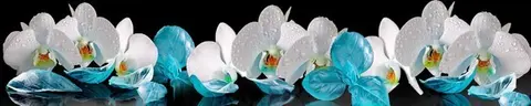 FLO-0718 pk529