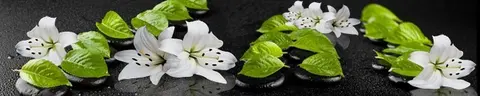 FLO-0738 pk585