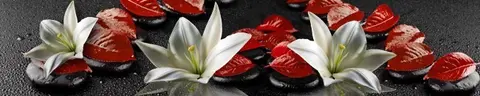 FLO-0739 pk586