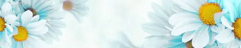 FLO-0755 pk635