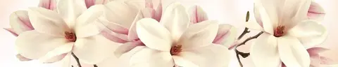 FLO-0756 pk637-1
