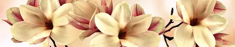 FLO-0757 pk637b