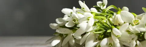 FLO-0332 PS40114