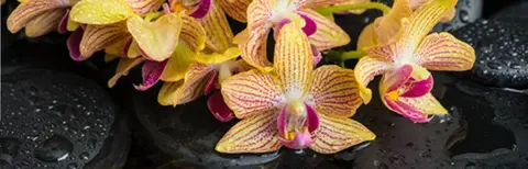 FLO-0403 PS40305