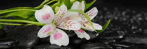 FLO-0411 PS40315