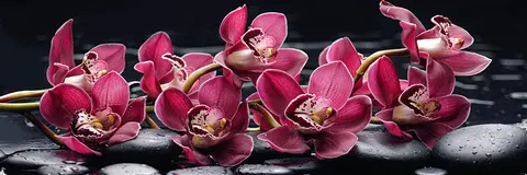 FLO-0412 PS40316