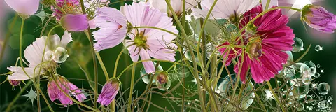 FLO-0424 PS40328